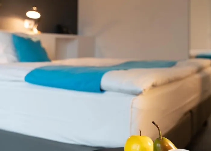 Hotel De La Source 3*