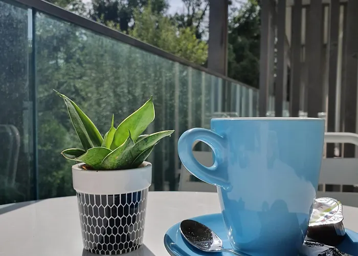 Hotel De La Source Yverdon-les-Bains