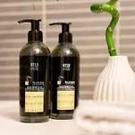 De La Source Hotel Yverdon-les-Bains